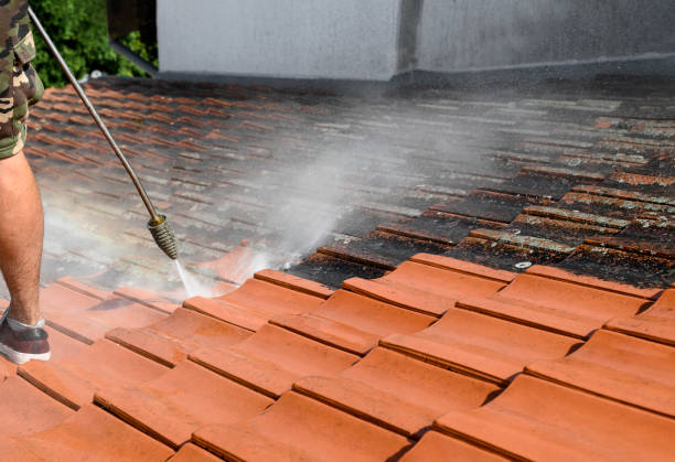 Best Power Washing Near Me  in High Ridge, MO